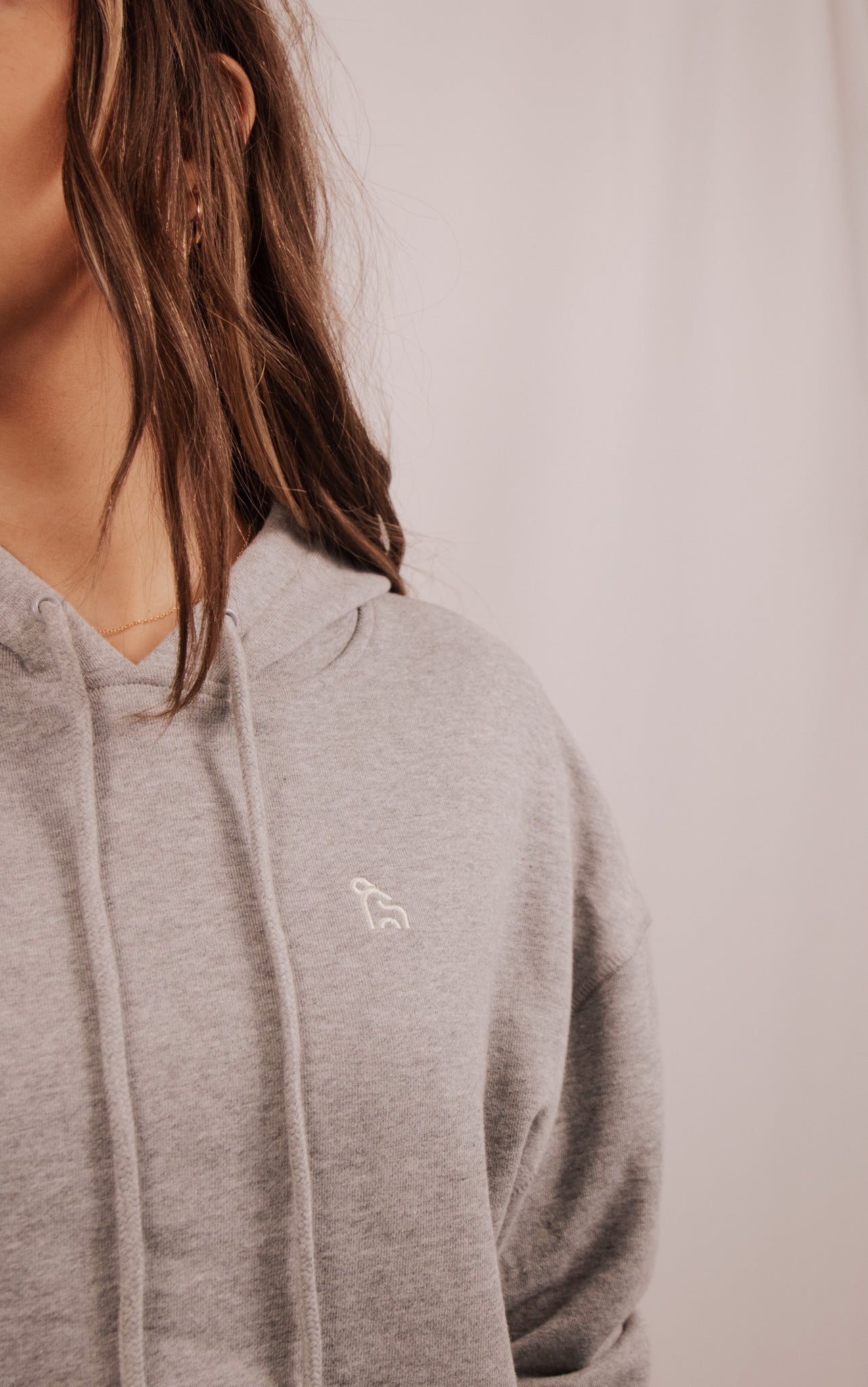 Aries Cropped Hoodie